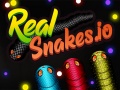 Spiel Real Snakes.io