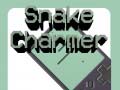 Spiel Snake Charmer