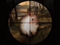 Spiel Classical Rabbit Sniper Hunting 2019