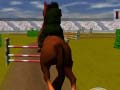 Spiel Jumping Horse 3d