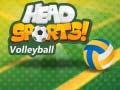 Spiel Head Sports Volleyball