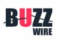 Spiel Buzz Wire