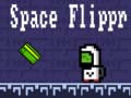 Spiel Space Flippr
