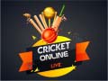 Spiel Cricket Online