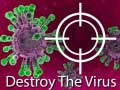 Spiel Destroy The Virus