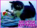 Spiel Six Little Kittens