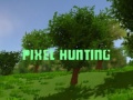 Spiel Pixel Hunting