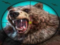 Spiel Wild Bear Hunting