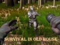 Spiel Survival In Old House