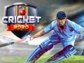 Spiel Cricket 2020