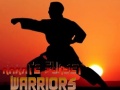 Spiel Karate Sunset Warriors
