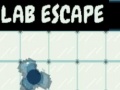 Spiel Lab Escape