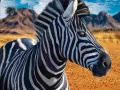 Spiel Zebra Hunter