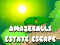 Spiel Amazeballs Estate Escape