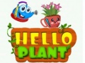 Spiel Hello Plant 