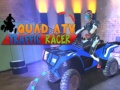 Spiel Quad ATV Traffic Racer