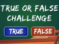 Spiel  True Or False Challenge