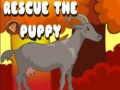 Spiel Rescue The Puppy