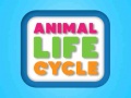 Spiel Animal Life Cycle