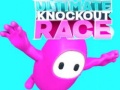 Spiel Ultimate Knockout Race