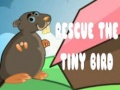 Spiel Rescue The Tiny Bird