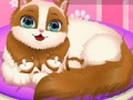 Spiel Cute Kitty Pregnant