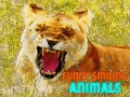 Spiel Funny Smiling Animals