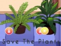 Spiel Save the Plants