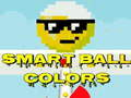 Spiel Smart Ball Colors