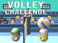 Spiel Volley Challenge