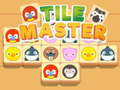Spiel Tile Master Match