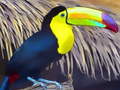 Spiel Toucan Bird Jigsaw