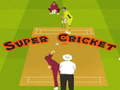 Spiel Super Cricket 