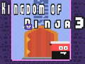 Spiel Kingdom of Ninja 3