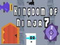Spiel Kingdom of Ninja 7