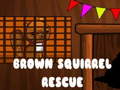 Spiel Brown Squirrel Rescue
