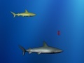 Spiel Lost shark