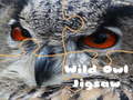 Spiel Wild owl Jigsaw