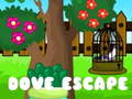 Spiel Dove Escape