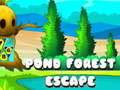 Spiel Pond Forest Escape