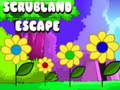 Spiel Scrubland Escape