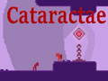 Spiel Cataractae