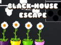 Spiel Black House Escape