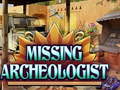 Spiel Missing Archeologist