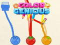 Spiel Color Genious
