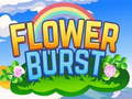 Spiel Flower Burst