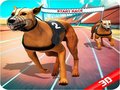 Spiel Crazy Dog Race
