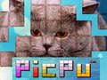 Spiel PicPu Cat 