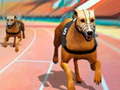 Spiel Dogs3D Races