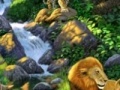 Spiel Safari Find the animals